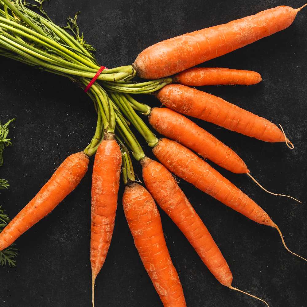 Edible Carrot Dolanka PNOS Seeds on Tape, 6m Tape