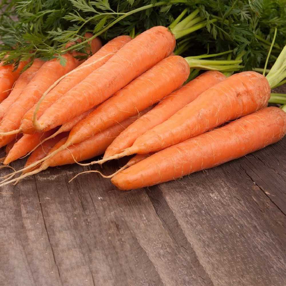 Edible Carrot Lenka PNOS Seeds on Tape, 6m Roll