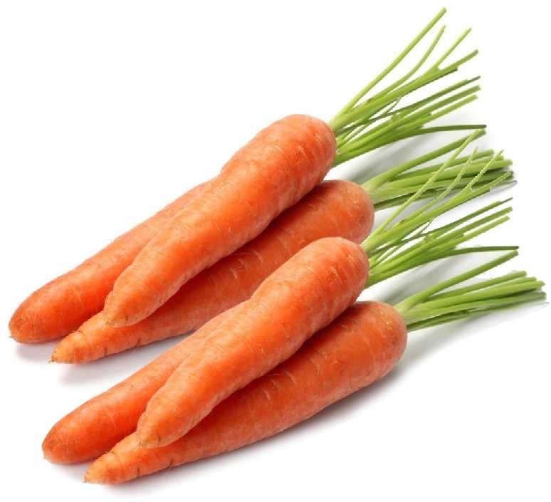 Edible Carrot Lenka PNOS Seeds on Tape, 6m Roll
