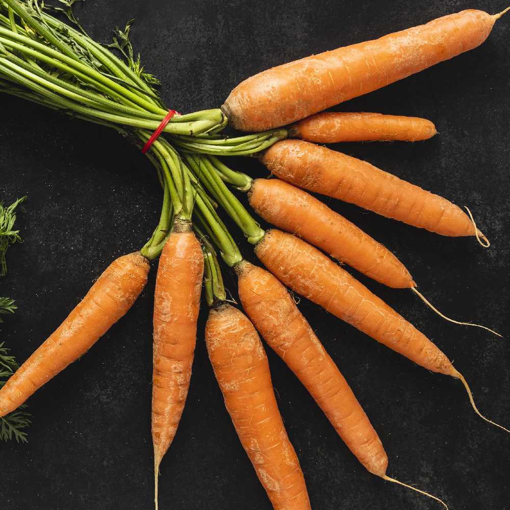 Edible Carrot Lenka PNOS Seeds on Tape, 6m Roll