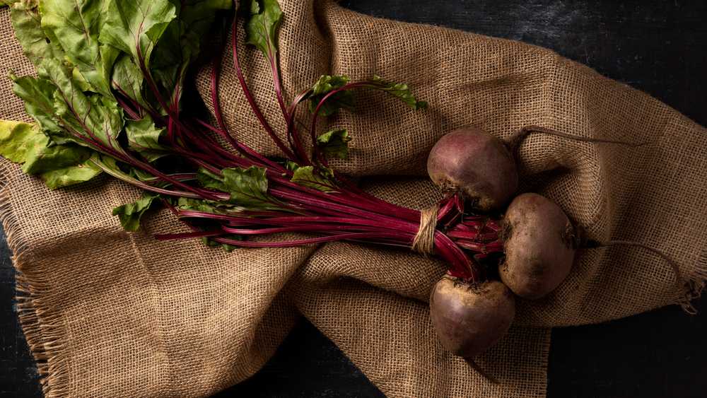 Toraf Daržovių sėklos | Burokėliai iš Egipto | Pakuotė 10 g