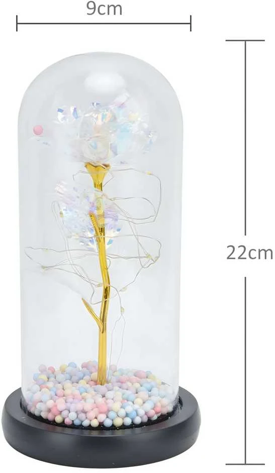 Extralink Pradžia | Amžina rožė stikle | baltas LED