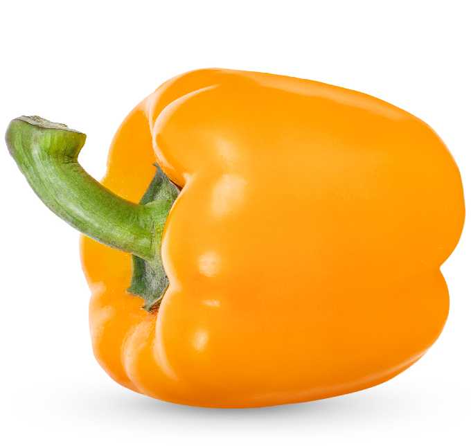 Etiuda Pepper PNOS Vegetable Seeds, 0.5g Pack