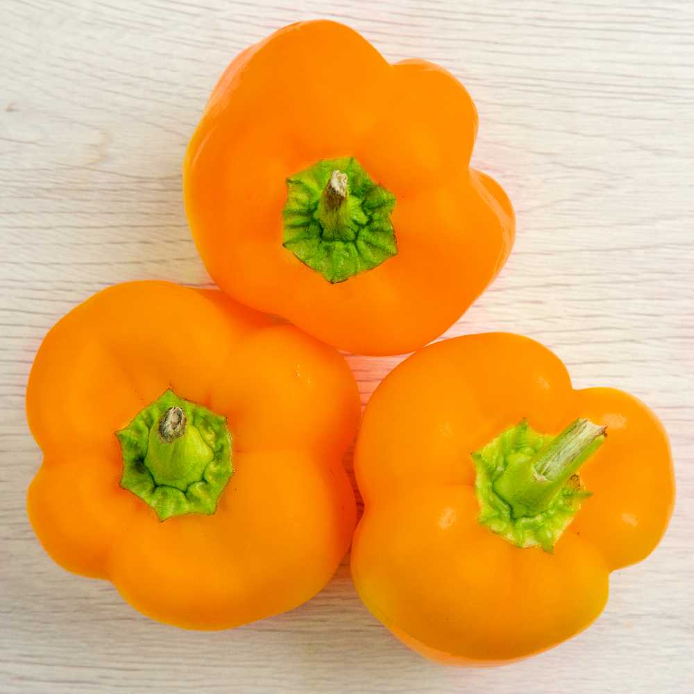 Etiuda Pepper PNOS Vegetable Seeds, 0.5g Pack