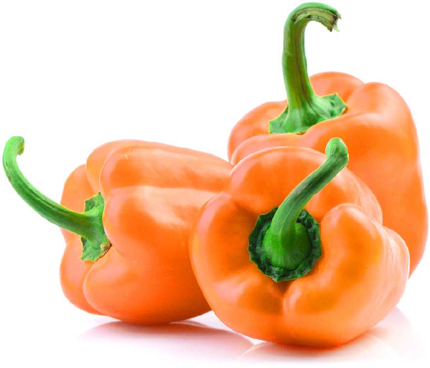 Etiuda Pepper PNOS Vegetable Seeds, 0.5g Pack