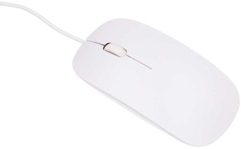Stacionarus kompiuteris Extralink 24 colių „viskas viename“ biuro kompiuteris | Kompiuterių rinkinys | Intel i5-11300H, 16 GB DDR4, 512 GB SSD, klaviatūra, pelė, kamera