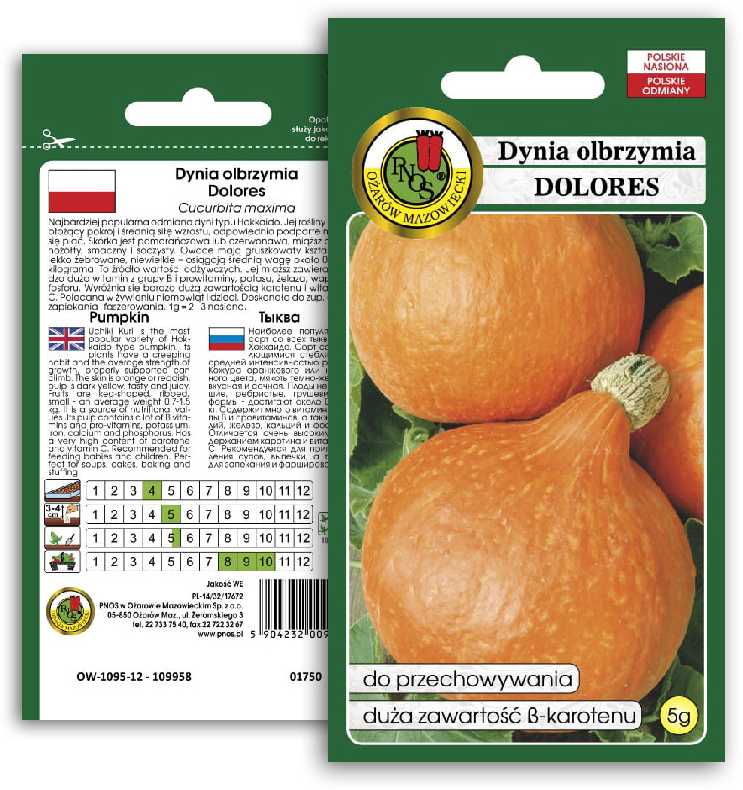 Giant Pumpkin Dolores PNOS Vegetable Seeds, 5g Packaging