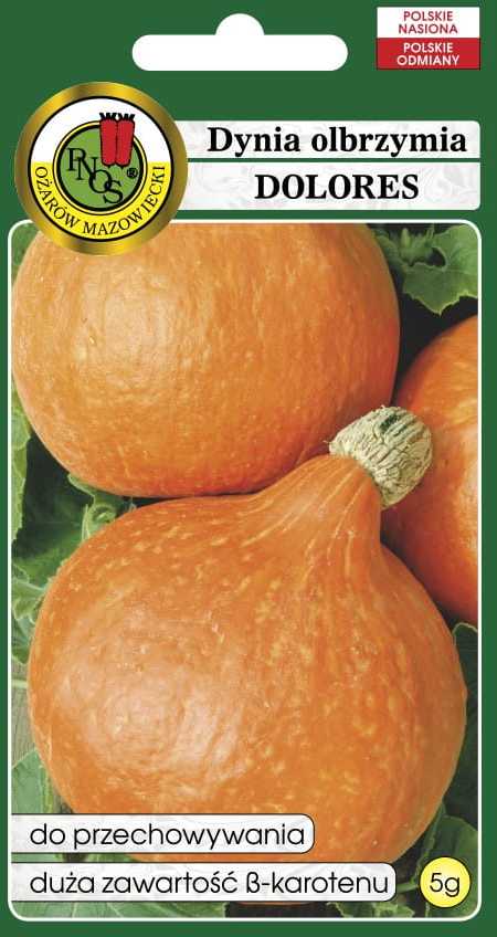 Giant Pumpkin Dolores PNOS Vegetable Seeds, 5g Packaging