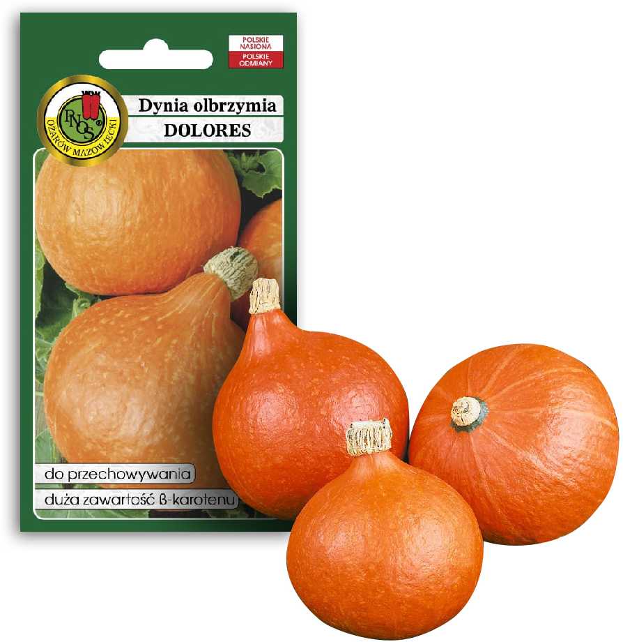 Giant Pumpkin Dolores PNOS daržovių sėklos, 5g pakuotė