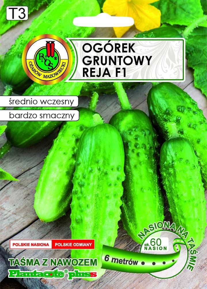 Ground Cucumber Reja F1 PNOS Seeds on Tape, 6m Tape