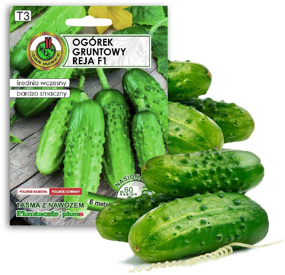 Ground Cucumber Reja F1 PNOS Seeds on Tape, 6m Tape