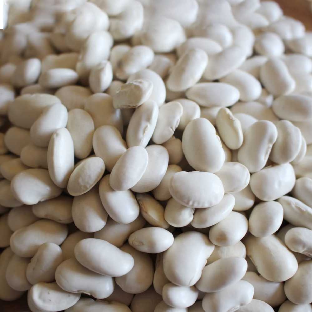 Igłomska Dry Bean Seeds PNOS Vegetable Seeds, 50g Package