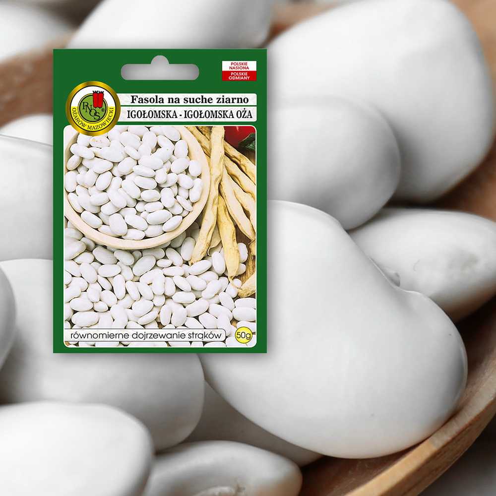 Igłomska Dry Bean Seeds PNOS Vegetable Seeds, 50g Package
