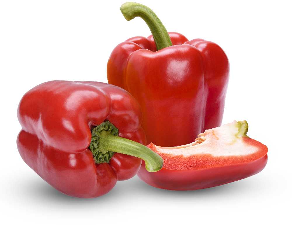 Jolanta Pepper PNOS Vegetable Seeds, 0.5g Package