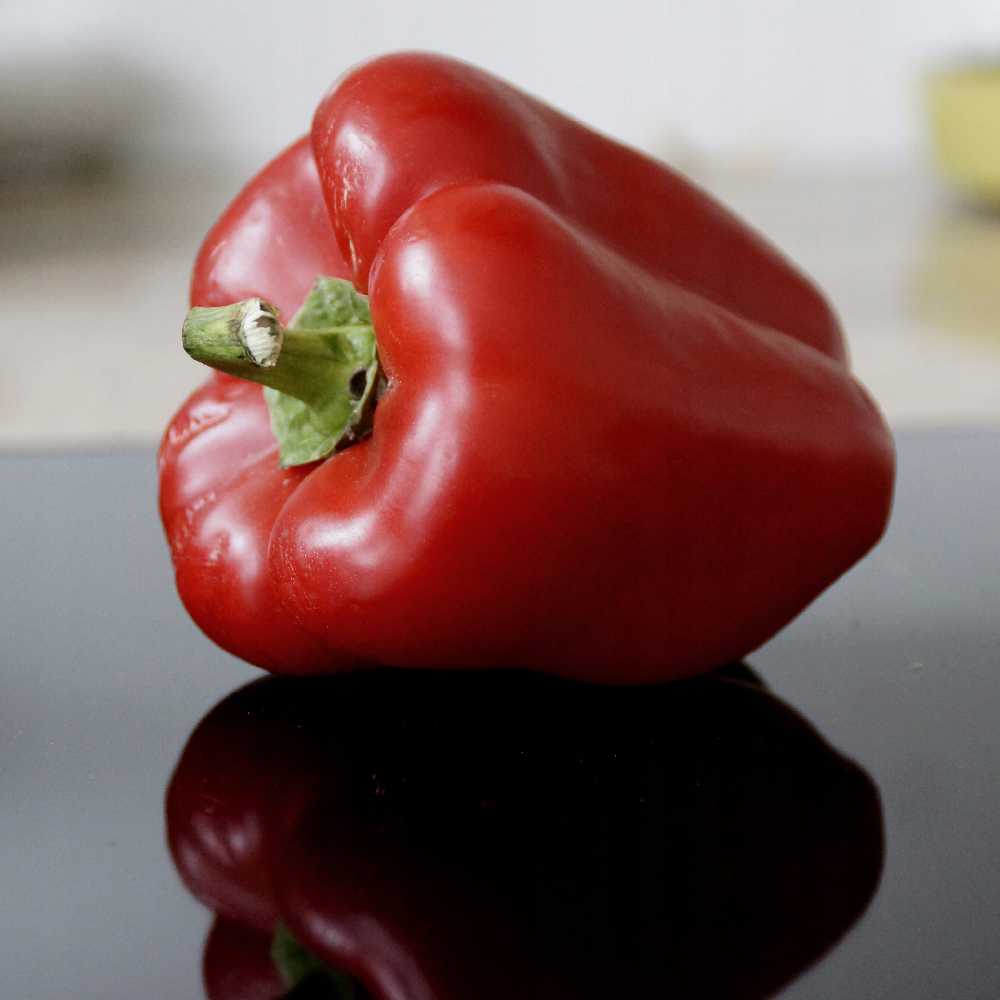 Jolanta Pepper PNOS Vegetable Seeds, 0.5g Package