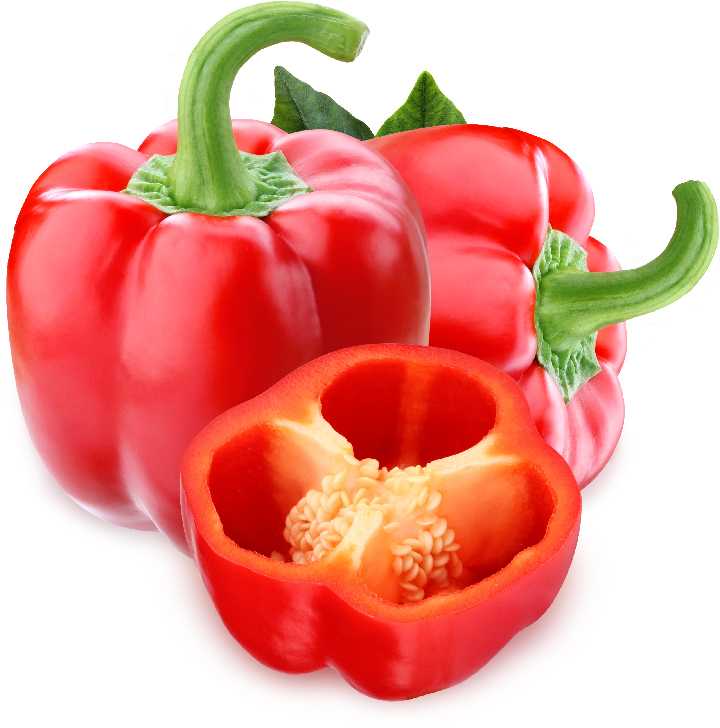 Jolanta Pepper PNOS Vegetable Seeds, 0.5g Package