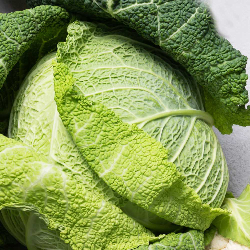 Langedi Cabbage PNOS Vegetable Seeds, 2g Package