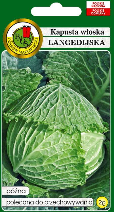 Langedi Cabbage PNOS Vegetable Seeds, 2g Package