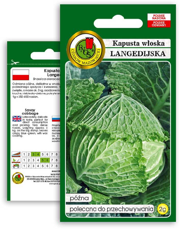 Langedi Cabbage PNOS Vegetable Seeds, 2g Package