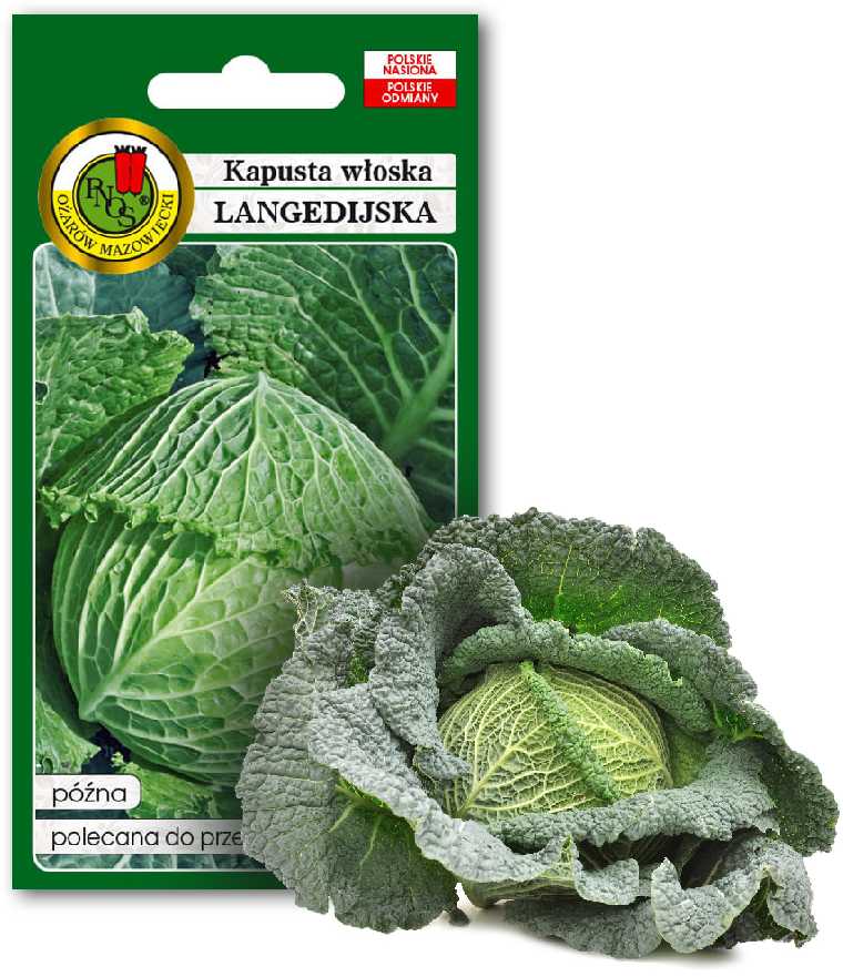 Langedi Cabbage PNOS Vegetable Seeds, 2g Package