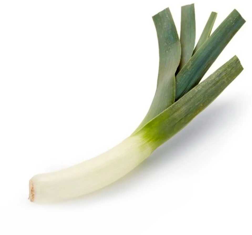 Leek Starozagorski Kamush PNOS Vegetable Seeds, 1g Pack