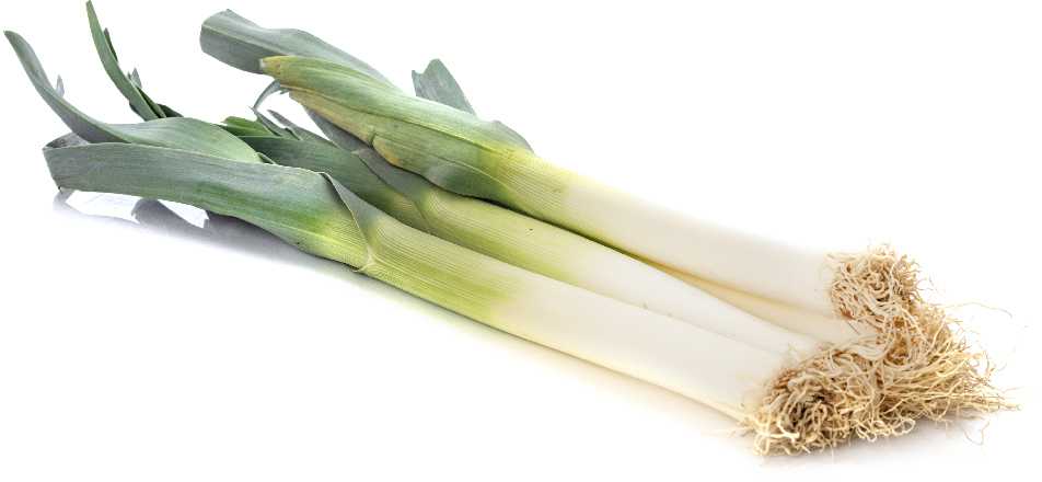 Leek Starozagorski Kamush PNOS Vegetable Seeds, 1g Pack