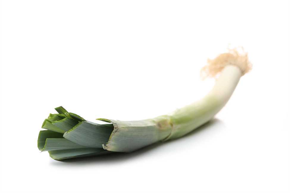 Leek Starozagorski Kamush PNOS Vegetable Seeds, 1g Pack