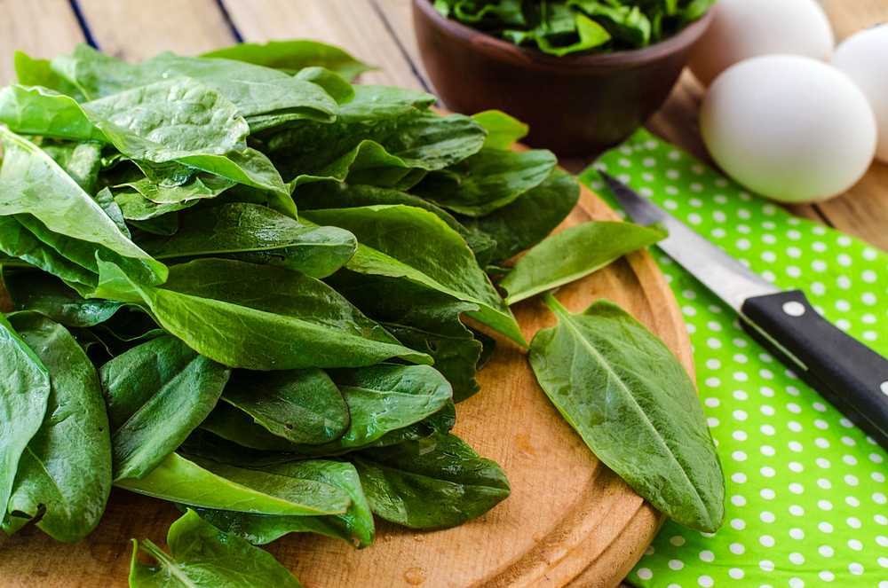 Toraf TORAF VEGETABLES Naujosios Zelandijos špinatų sėklos 5 g