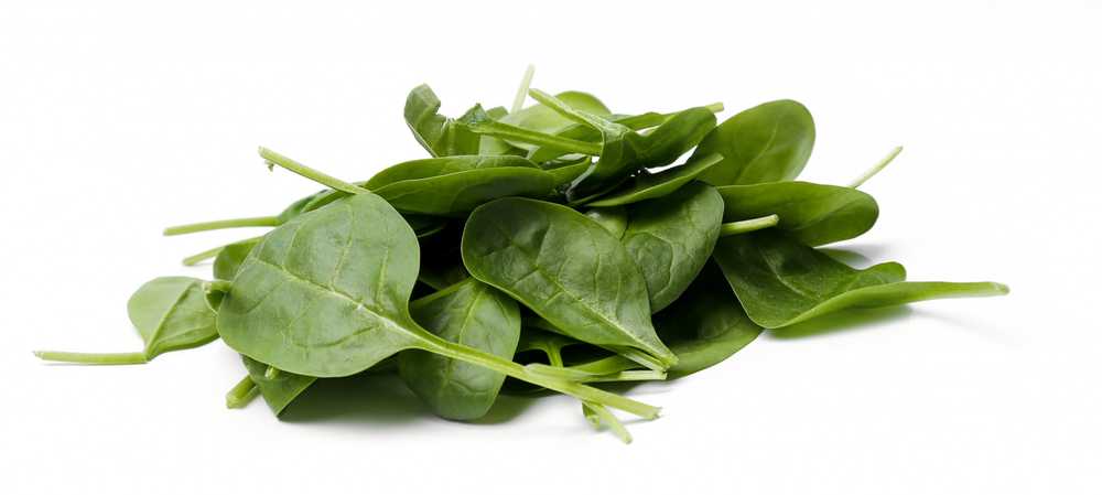 Toraf TORAF VEGETABLES Naujosios Zelandijos špinatų sėklos 5 g