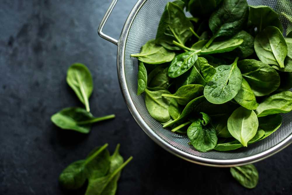 Toraf TORAF VEGETABLES Naujosios Zelandijos špinatų sėklos 5 g