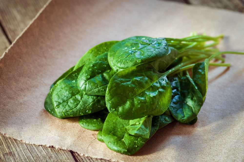 Toraf TORAF VEGETABLES Naujosios Zelandijos špinatų sėklos 5 g