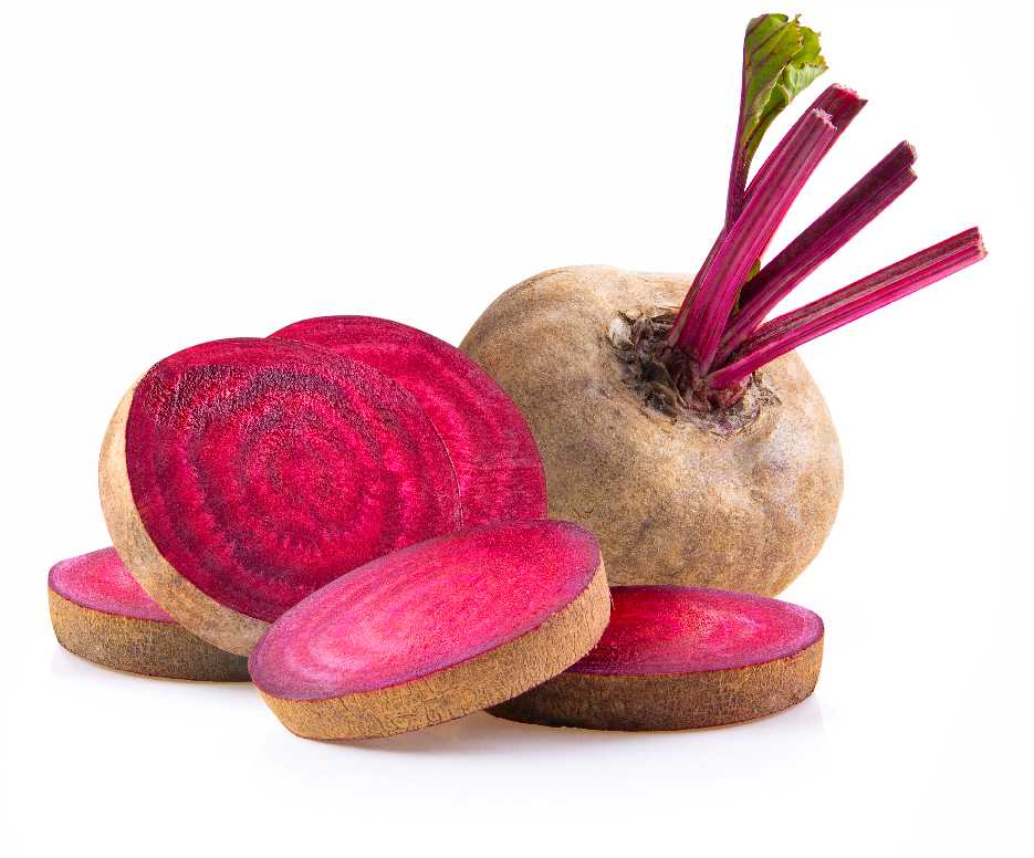 Opole Beetroot PNOS Coated Seeds, Pack of 100