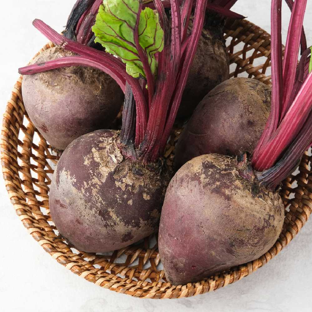 Opole Beetroot PNOS Coated Seeds, Pack of 100