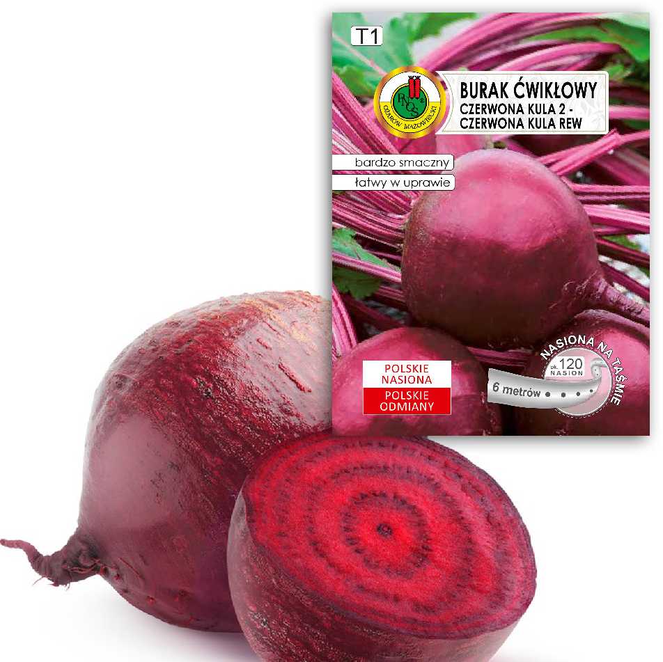 Opole Beetroot PNOS Coated Seeds, Pack of 100