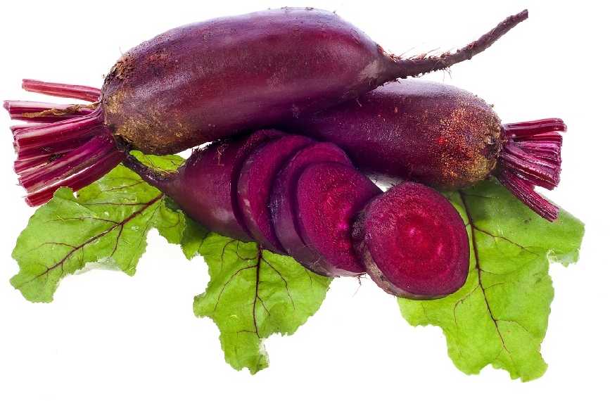 Opole Beetroot PNOS Seeds on Tape, 6m Roll