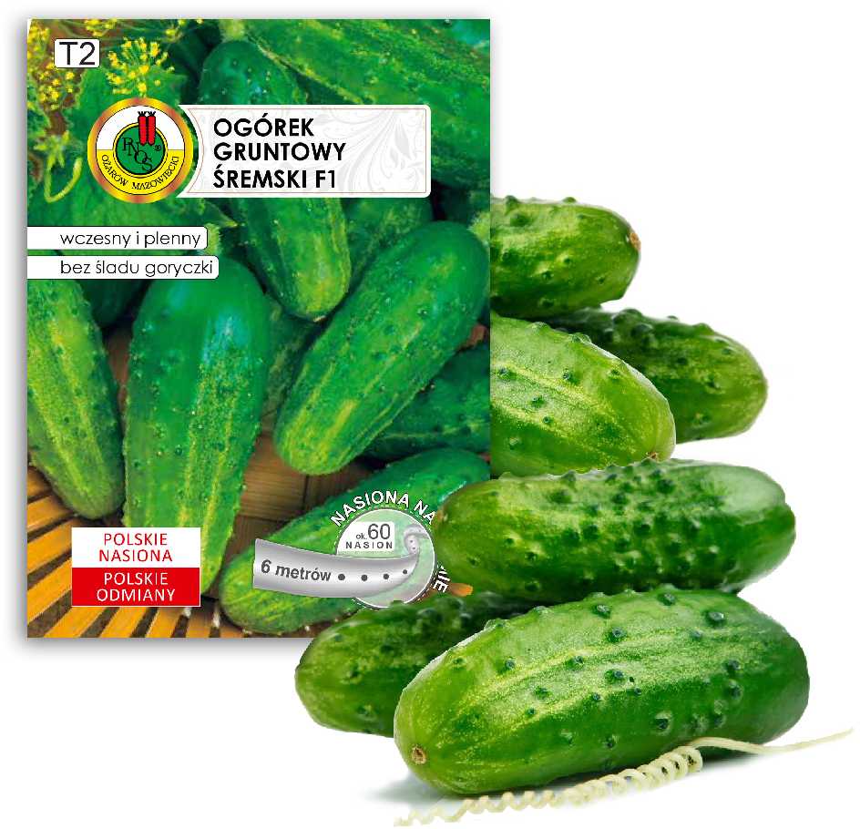 Pnos Sremski F1 Ground Cucumber Seeds on Tape, 6m Roll