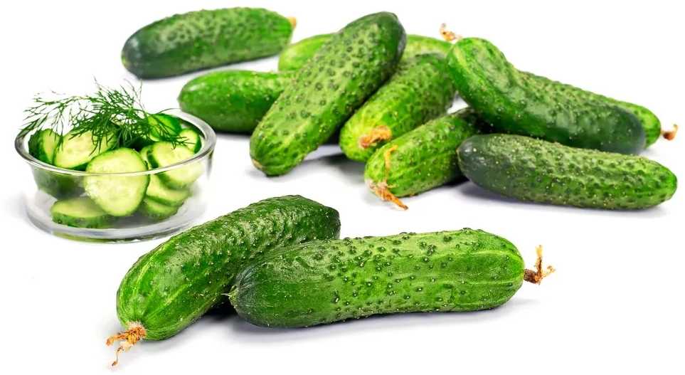 Pnos Sremski F1 Ground Cucumber Seeds on Tape, 6m Roll