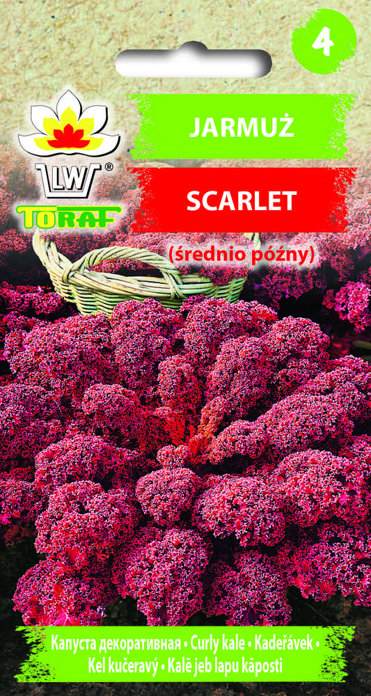 Toraf Raudonųjų lapinių kopūstų daržovių sėklos 1g TORAF