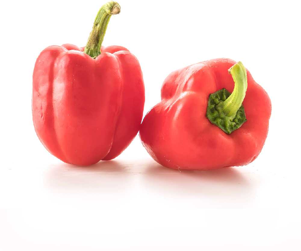 Sweet Pepper PNOS Seeds Mix, 0.6g Package