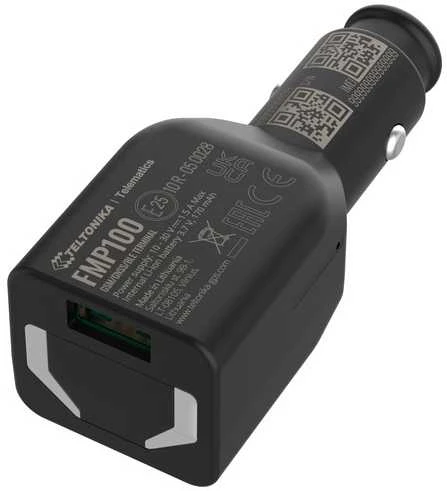 FMP100 TELTONIKA GPS SEKLYS