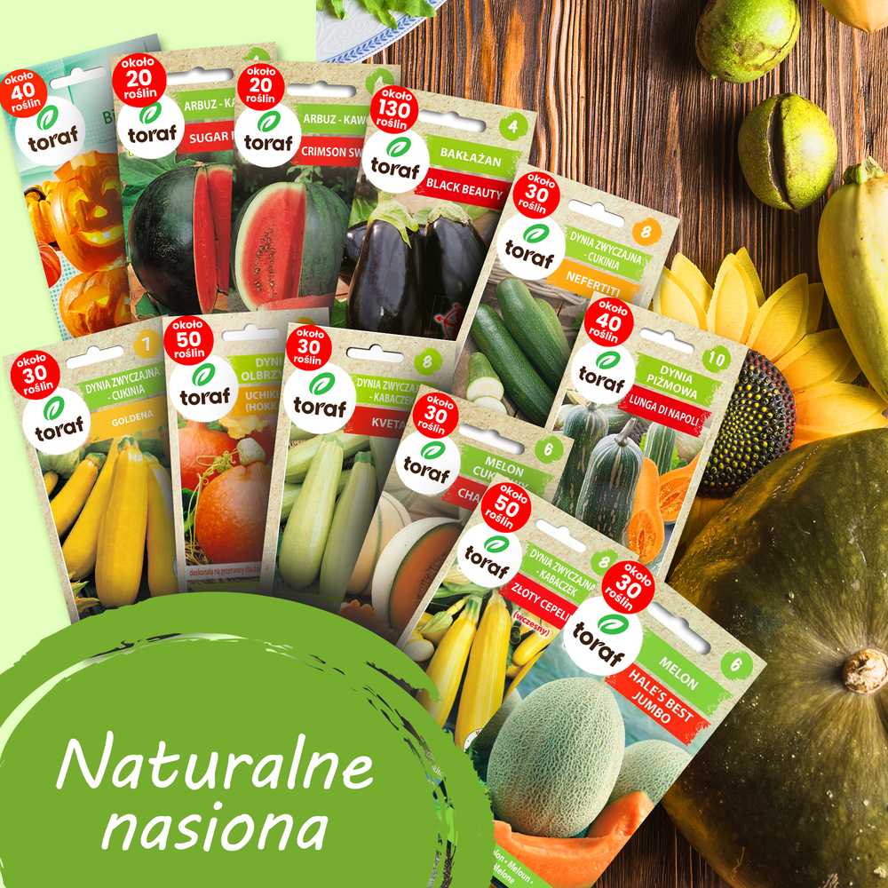 Toraf TORAF Rinkinys NASION SYMFONIA SMAKÓW - 12 OPAKOWAŃ