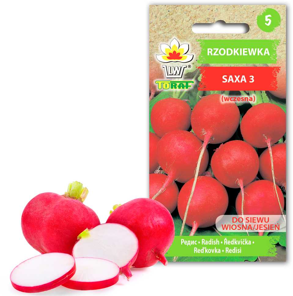 Toraf ridikėlių sėklos Saxa 3 10 g