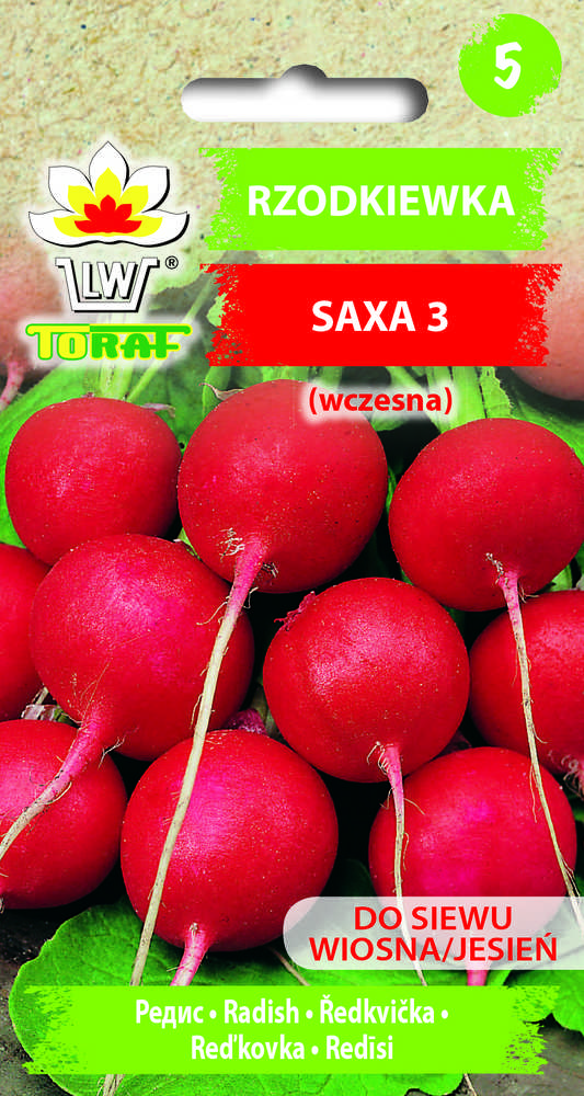 Toraf ridikėlių sėklos Saxa 3 10 g