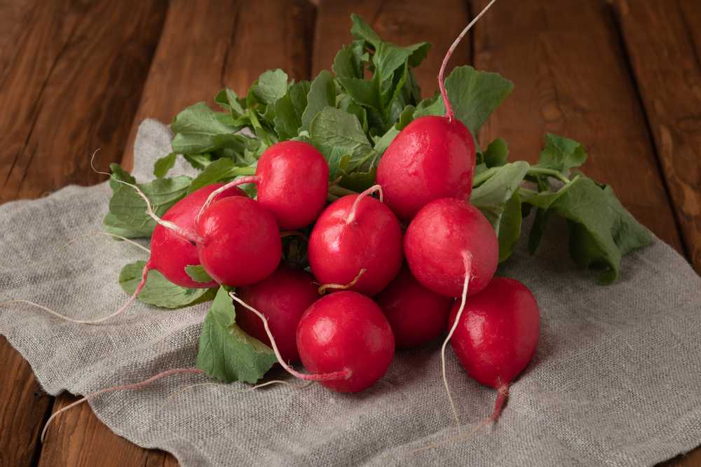 Toraf ridikėlių sėklos Saxa 3 10 g