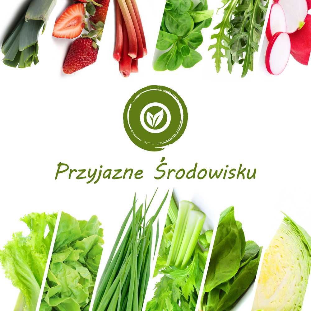 Toraf TORAF Rinkinys NASION SMAKI WIOSNY - 12 OPAKOWAŃ