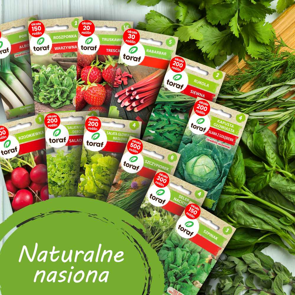 Toraf TORAF Rinkinys NASION SMAKI WIOSNY - 12 OPAKOWAŃ