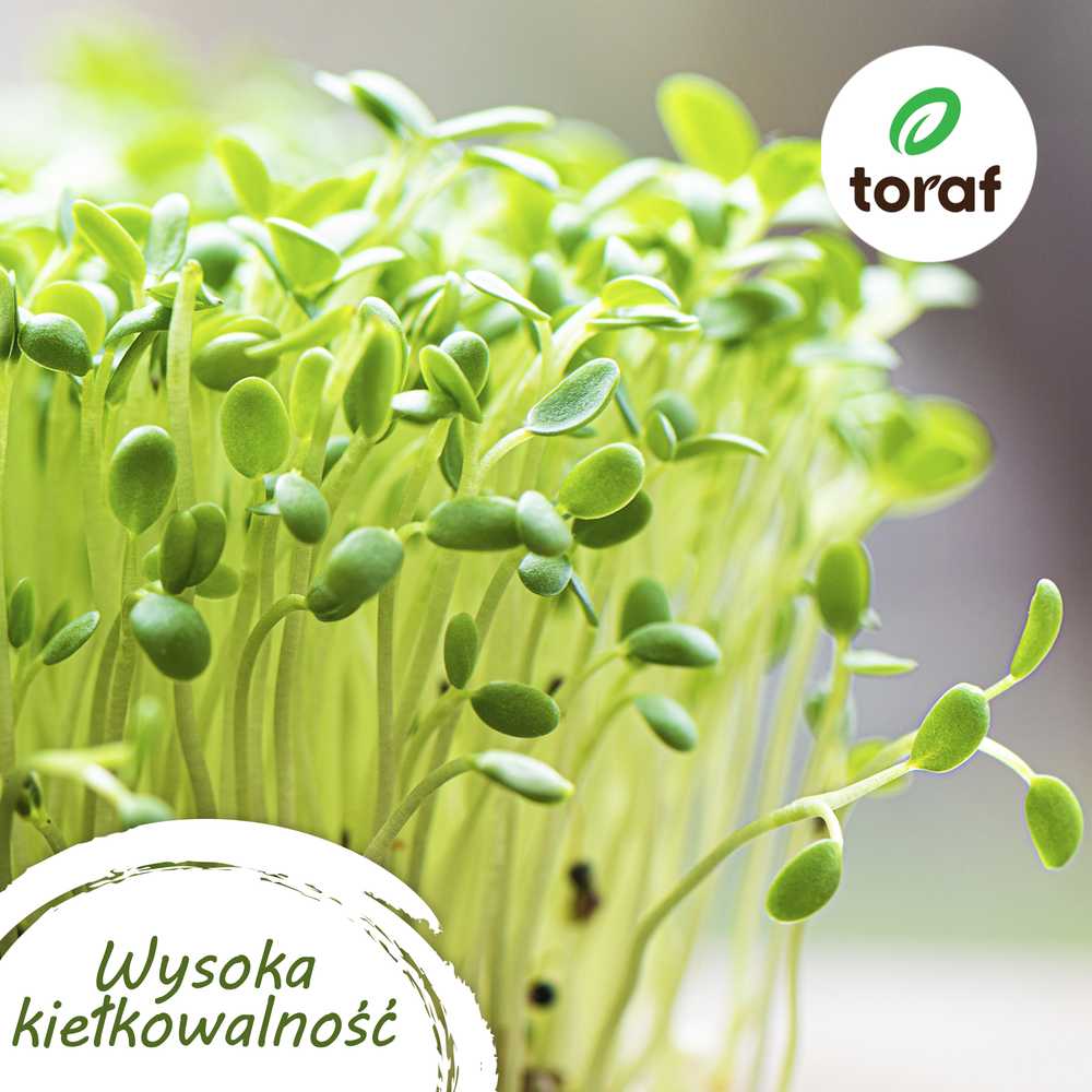 Toraf TORAF Rinkinys NASION POMIDOROWY EDEN - 8 OPAKOWAŃ