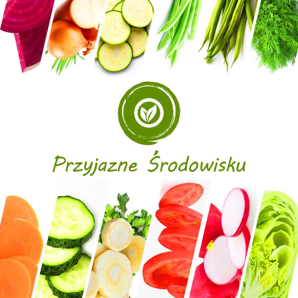 Toraf TORAF Rinkinys NASION WARZYWNY RAJ - 12 OPAKOWAŃ