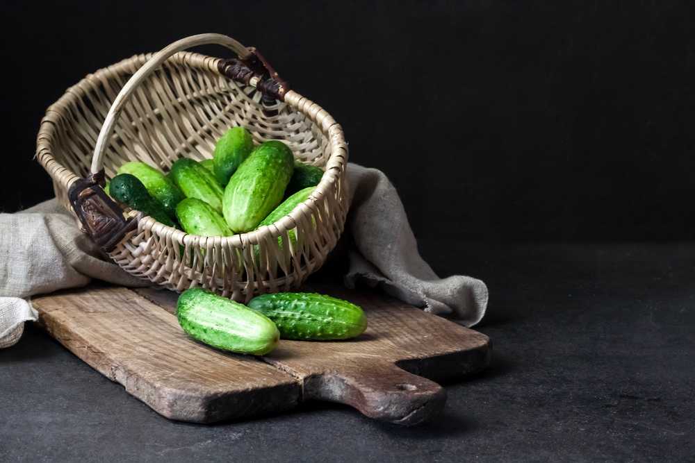 Toraf TORAF VEGETABLES Agurkas Viskonsinas SMR 58 sėklos 5g