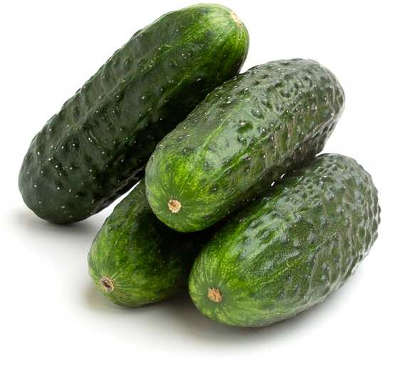 Toraf TORAF VEGETABLES Agurkas Viskonsinas SMR 58 sėklos 5g